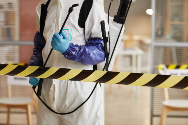 Professional Odor Removal technician working in Chester, NJ