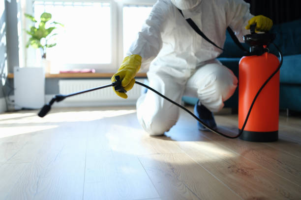 Reliable Odor Removal contractor in Chester, NJ by Trauma Clean Pros